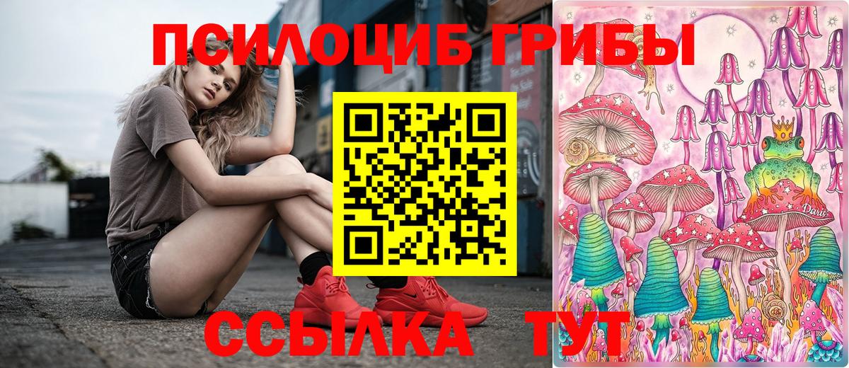 Псилоцибиновые грибы Psilocybe Отрадное