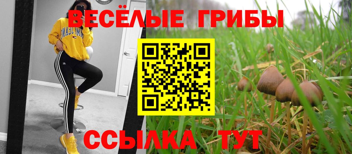 Отрадное  Псилоцибиновые грибы MAGIC MUSHROOMS  Вход с VPN 